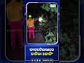 କଟକରେ ତାଣ୍ଡବ ରଚିଲା ଝଡ଼ବର୍ଷା