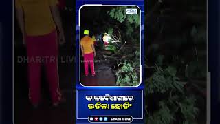 କଟକରେ ତାଣ୍ଡବ ରଚିଲା ଝଡ଼ବର୍ଷା