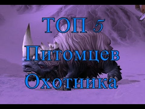 Видео: Руководство по питомцам Охотника. 9.0.3. Shadowlands. (ММ, БМ)