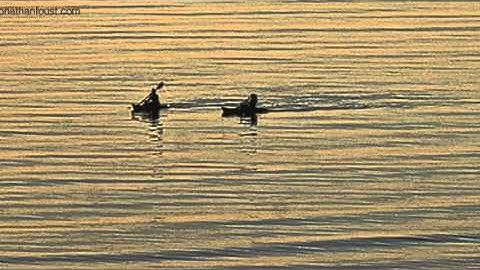 The Heart Practices:  Increasing Your Capacity for Joy