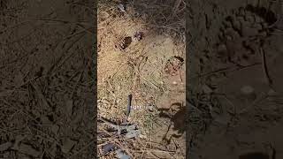 Is This Winch The Next Best Way To Stretch Fence Wire?