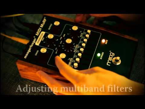 Moog Moogerfooger MF-105M MIDI MuRF Demo