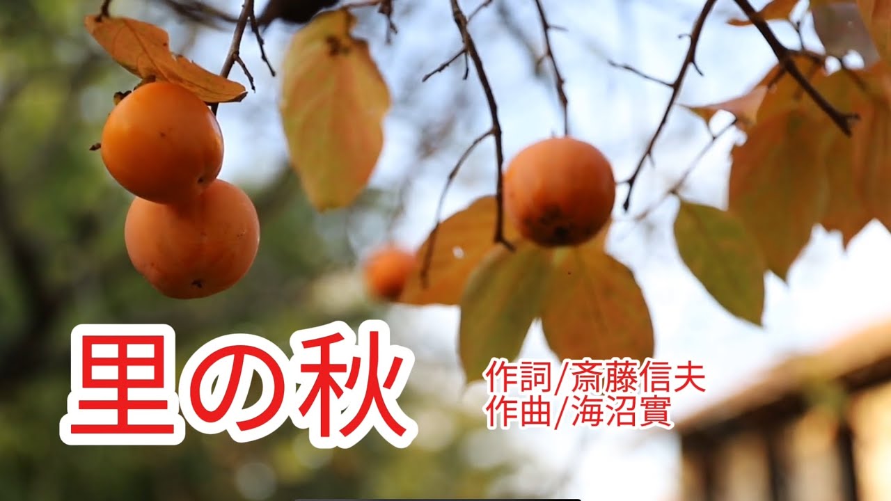 童謡唱歌『里の秋』作詞/斎藤信夫 作曲/海沼實 - YouTube