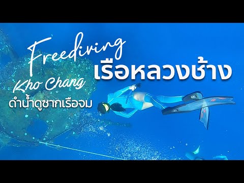 ดำน้ำดูซากเรือจมเกาะช้าง Freediving Koh Chang l Giftzy VipaSri