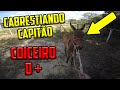 CABRESTIANDO O CAPITÃO