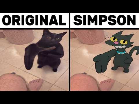 Cat Clapping Hand | Original vs Meme