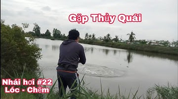 Câu Cá Lóc Bằng Nhái Hơi P22.Câu Cá Chẽm Thiên Nhiên.Những Lần Đi Câu Gặp Thủy Quái|Đại Ngáo Vlog