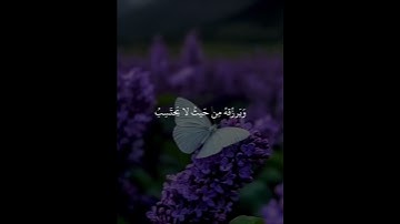 #آيات  اللهم عليك توكلنا 🤲