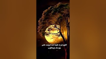 اروع التلاوات من كتاب الله الكريم بصوت هادئ وجميل #quran #قران_كريم #راحة_نفسية