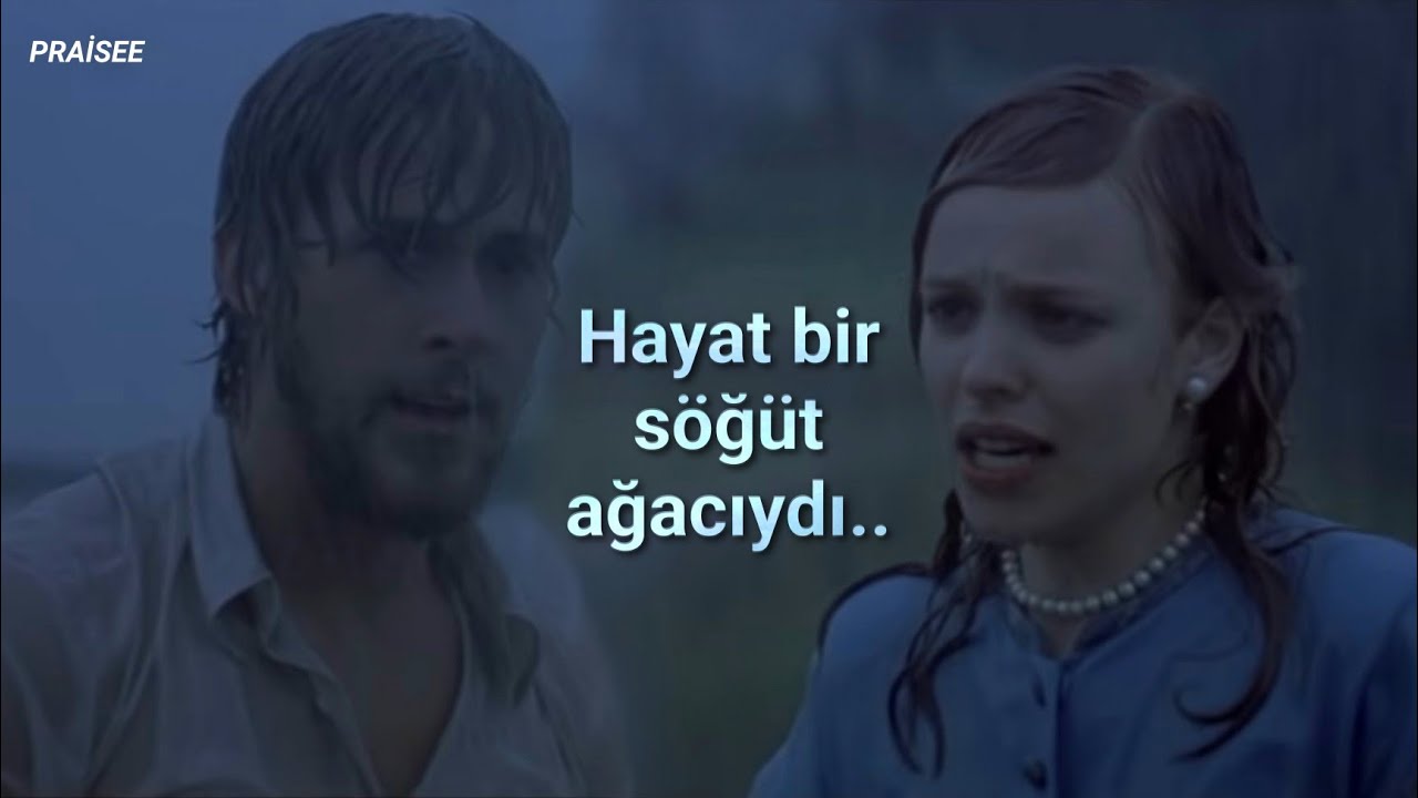 Taylor Swift - willow (Türkçe Çeviri) - YouTube