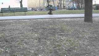 Obraz 006.avi
