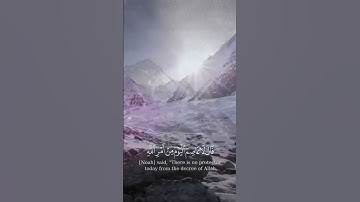 قال سآوي إلى جبل يعصمني من الماء قال لا عاصم اليوم من أمر الله إلا من رحم #قرآن #quran #قرآن كريم