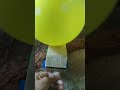 Newton's car II Balloon car 🚘🎈that works