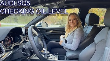 AUDI Q5/SQ5, CHECKING OIL LEVEL