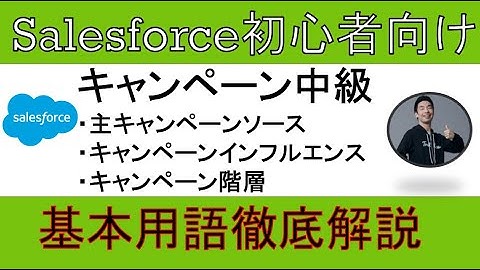 【キャンペーン中級】Salesforce解説【初心者向け】
