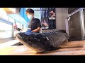 How To Fillet A Whole Cobia Skills/Cobia Sashimi - Taiwanese Street Food