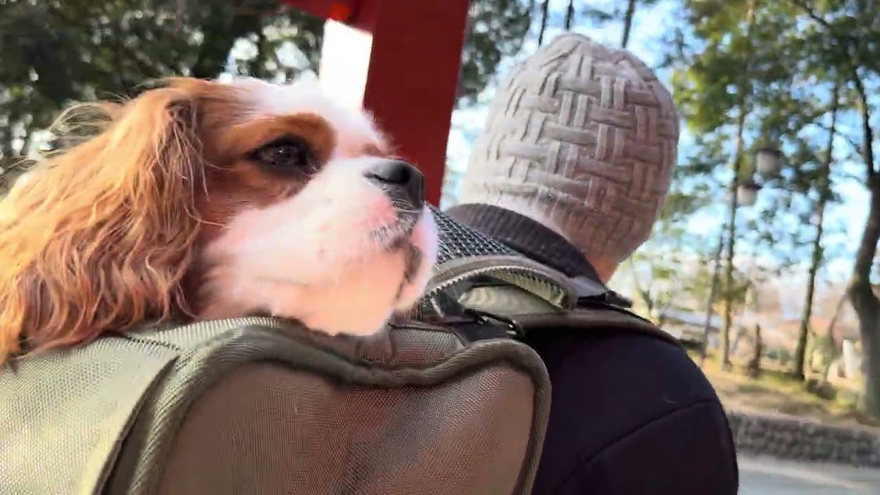 令和八年1月5日 ＠キャバリア千太
