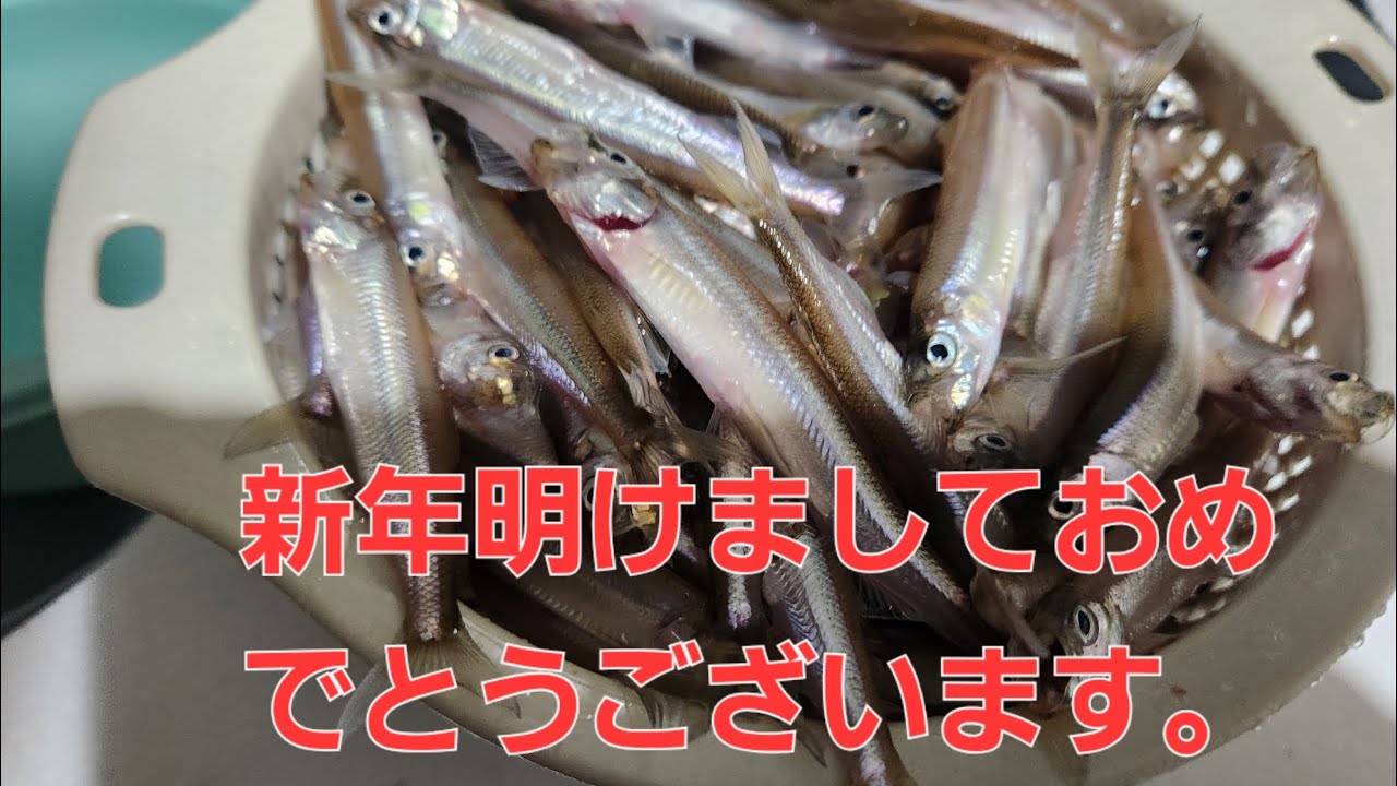 ２０２６年幕開け‼️ワカサギ外来種駆除‼️今年もヨロシクお願いします🙇