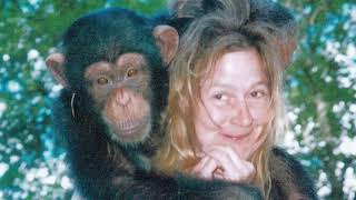 The Story of Travis the Chimp | A Short Documentary | Nutty Putty