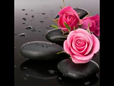 حسين الجسمي بودعك 