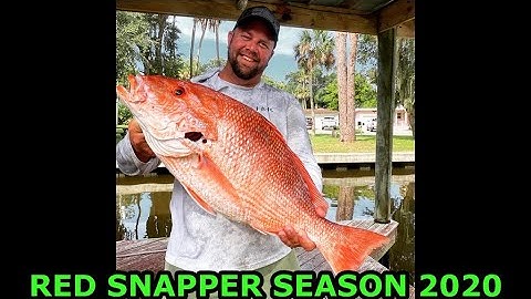 ATLANTIC RED SNAPPER SEASON 2020 - PONCE INLET