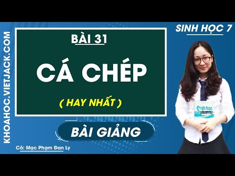 Video: Học sinh lớp 7 học khoa học gì?