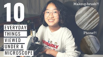 10 Everyday Things Viewed Under a Microscope