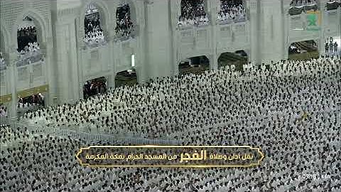 سورة فاطر 27-37 - صلاة الفجر للشيخ ياسر الدوسري 26 ربيع الأول 1447