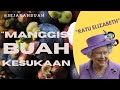 BUAH MANGGIS: BUAH  TROPIS YANG DI SUKAI RATU VICTORIA ELIZABETH || QUEEN FRUIT