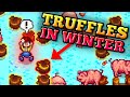 Top 19 greatest stardew valley tips of all time  not fake 