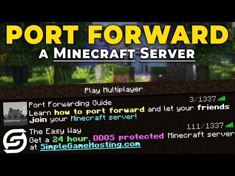 Port Forwarding for Game Server Hosting