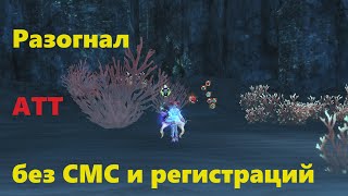 Разогнал атт для ТОП спотов в Lineage 2 Main.  Бюджетный вариант.