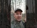 A prescribed burn somewhere close. #deerhunter #outdoors #homesteading #woodland #forestmanagement