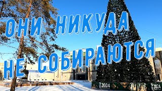 Они никуда не собираются...  #Павлодар