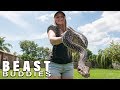 Snake Queen Shares Her Home With 70 Reptiles | BEAST BUDDIES
