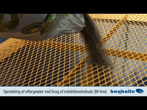 Video: Spredning af aspefrø: Lær hvordan man dyrker aspe fra frø