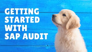 SAP Audit - Controlling Remote Function Calls