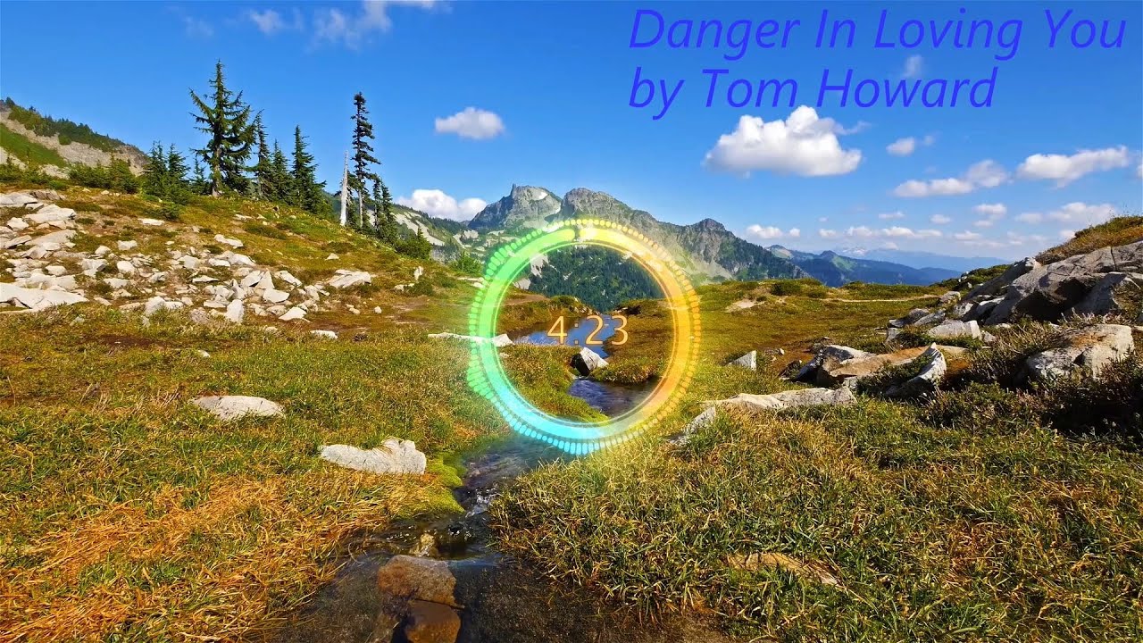 Danger In Loving You by Tom Howard