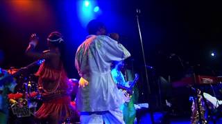 Femi Kuti - Politics In Africa (Live in Sydney) | Moshcam