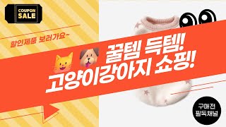 ✨고양이강아지 꿀템 대방출! 득템 찬스! (샤베트봉/간식/사료/애견의류)