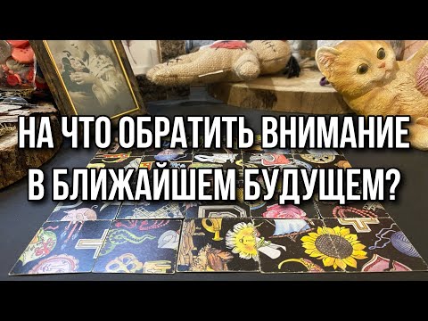 На что обратить внимание в ближайшем будущем? Гадание пасьянс расклад онлайн