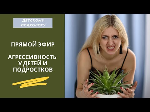 ПРЯМОЙ ЭФИР: АГРЕССИВНОСТЬ У ДЕТЕЙ/КАК РАБОТАТЬ ДЕТСКОМУ ПСИХОЛОГУ/ПЕДАГОГ- ПСИХОЛОГ