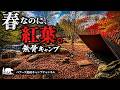 春の紅葉が綺麗すぎてすぐに酔ったキャンロクパーク三つ峠