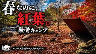 春の紅葉が綺麗すぎてすぐに酔ったキャンロクパーク三つ峠