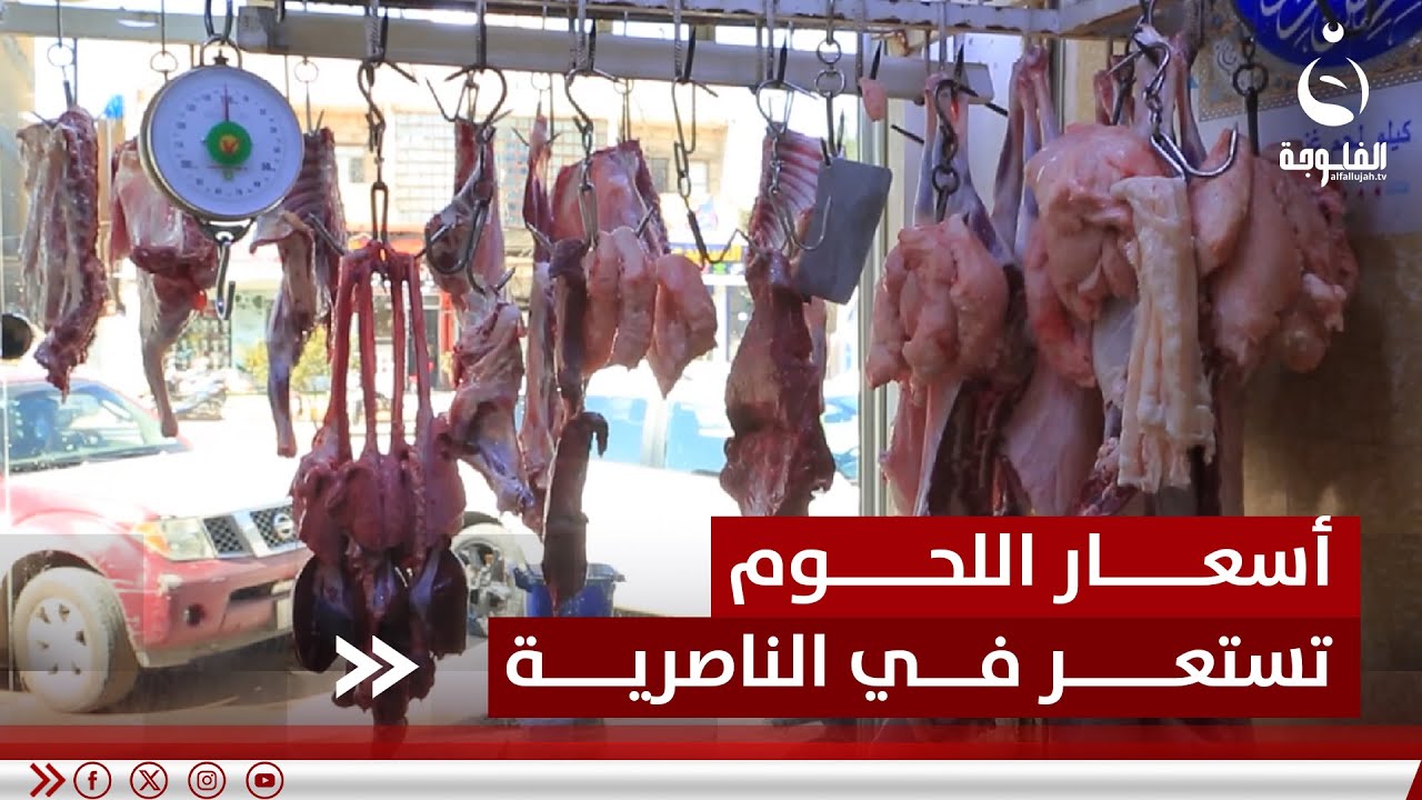 مع اقتراب رمضان المبارك.. أسعار اللحوم تستعر في الناصرية | تقرير: سعد الركابي