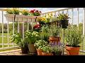Small Space Container Gardening 2026 | Easy & Stylish Designs