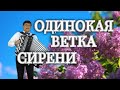 👍Будете Петь Весь День...!!!"🔴ОДИНОКАЯ ВЕТКА СИРЕНИ🔴Анацкий Сергей