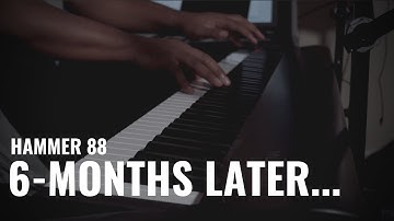 The Truth About The M-Audio Hammer 88 | 6-Months Post Review|