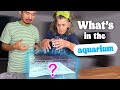 Episode 230  whats in the aquarium ft ma mre