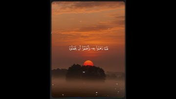 تلاوة خاشعة//بصوت القارئ إسلام صبحي |ارح سمعك 😌🎧🥀🌿